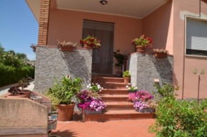 La Mimosa Bolgheri